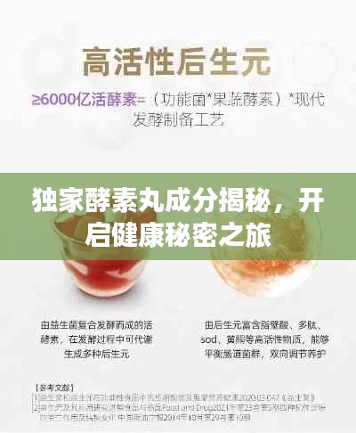 独家酵素丸成分揭秘,开启健康秘密之旅