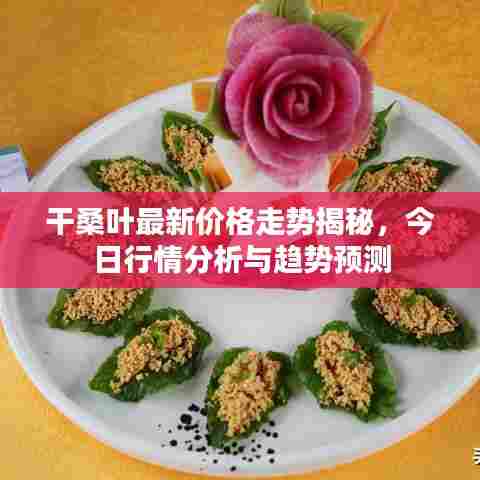 干桑叶最新价格走势揭秘，今日行情分析与趋势预测