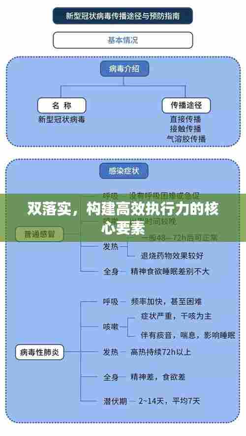 双落实，构建高效执行力的核心要素