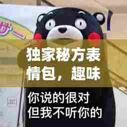 独家秘方表情包,趣味表达更生动!