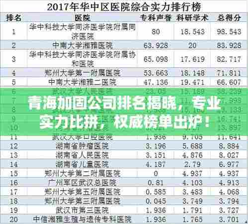 青海加固公司排名揭晓，专业实力比拼，权威榜单出炉！