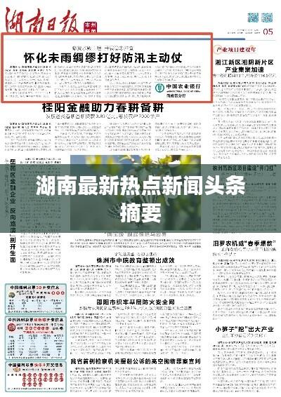湖南最新热点新闻头条摘要
