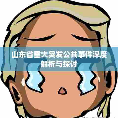 山东省重大突发公共事件深度解析与探讨