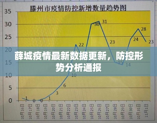 薛城疫情最新数据更新，防控形势分析通报