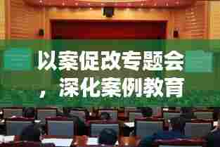 以案促改专题会,深化案例教育,引领全面改革新篇章