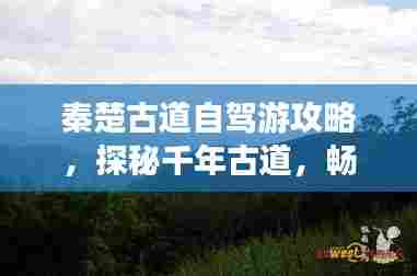 秦楚古道自驾游攻略，探秘千年古道，畅游美景之旅！