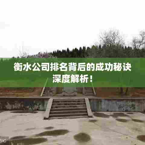 衡水公司排名背后的成功秘诀深度解析！