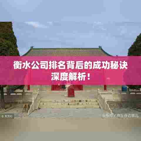 衡水公司排名背后的成功秘诀深度解析!