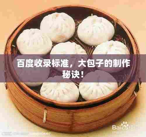 百度收录标准，大包子的制作秘诀！