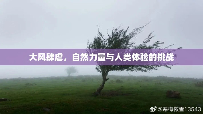 大风肆虐，自然力量与人类体验的挑战