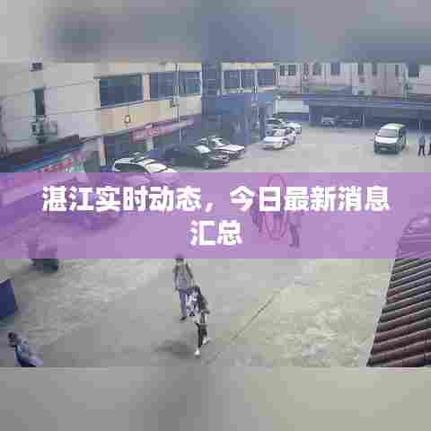 湛江实时动态,今日最新消息汇总