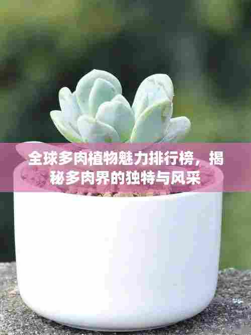全球多肉植物魅力排行榜，揭秘多肉界的独特与风采