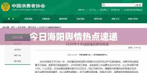 今日海阳舆情热点速递