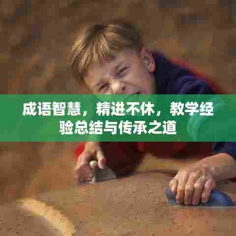 成语智慧,精进不休,教学经验总结与传承之道