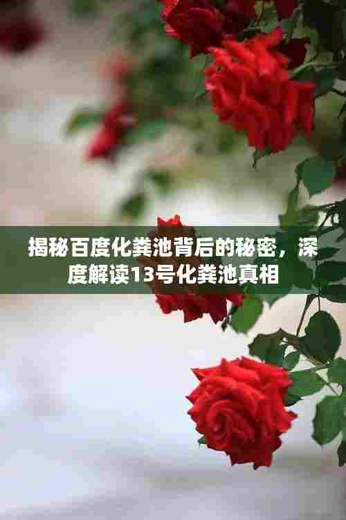 揭秘百度化粪池背后的秘密,深度解读13号化粪池真相