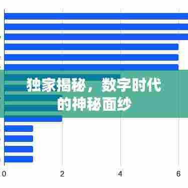独家揭秘，数字时代的神秘面纱