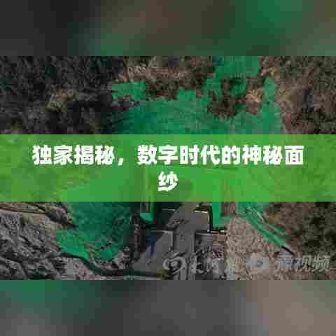 独家揭秘,数字时代的神秘面纱