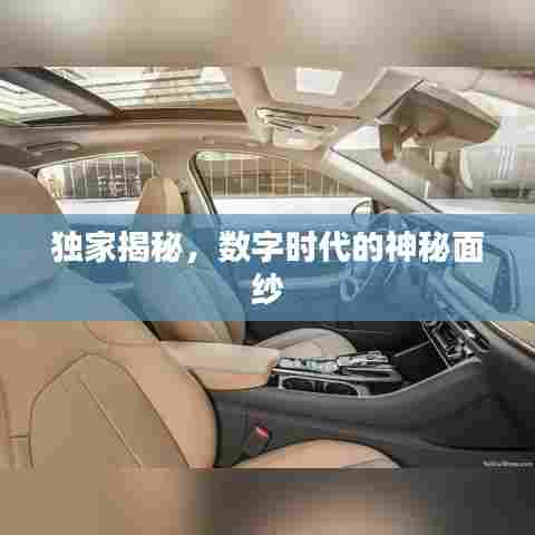 独家揭秘,数字时代的神秘面纱