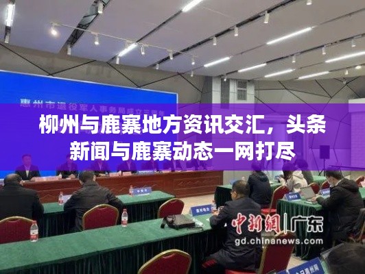 柳州与鹿寨地方资讯交汇,头条新闻与鹿寨动态一网打尽