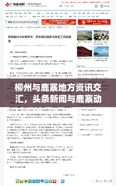 柳州与鹿寨地方资讯交汇,头条新闻与鹿寨动态一网打尽