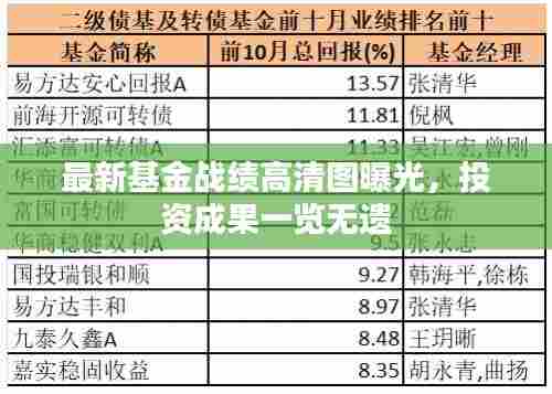最新基金战绩高清图曝光，投资成果一览无遗