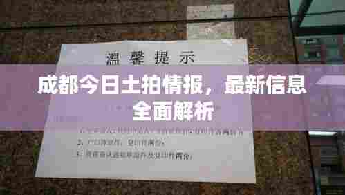 成都今日土拍情报，最新信息全面解析