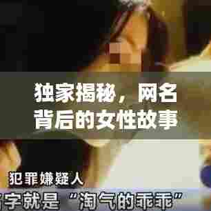 独家揭秘，网名背后的女性故事，情感深度剖析引人关注