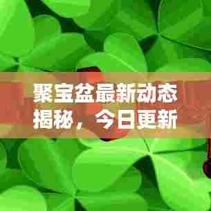 聚宝盆最新动态揭秘,今日更新消息抢先看!