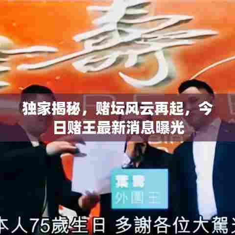 独家揭秘，赌坛风云再起，今日赌王最新消息曝光