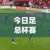 今日足总杯赛事预测,谁能夺冠?最新情报大揭秘!