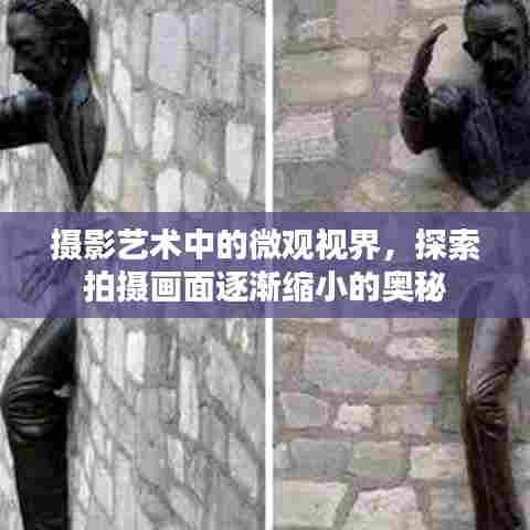 摄影艺术中的微观视界,探索拍摄画面逐渐缩小的奥秘