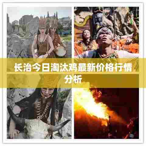 长治今日淘汰鸡最新价格行情分析