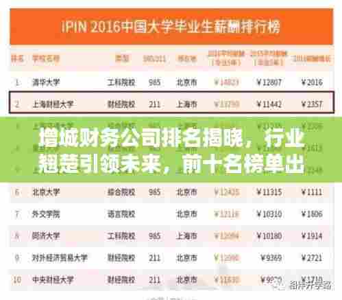增城财务公司排名揭晓,行业翘楚引领未来,前十名榜单出炉!