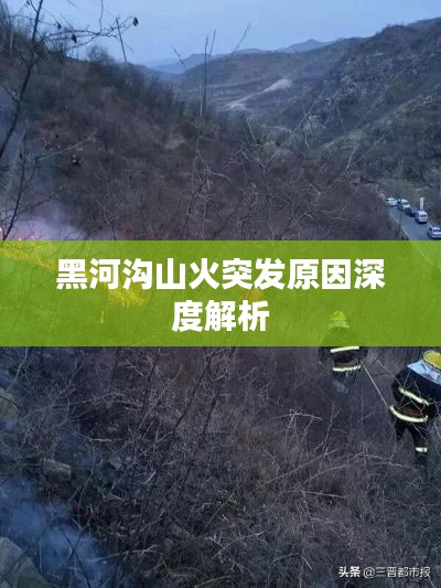 黑河沟山火突发原因深度解析