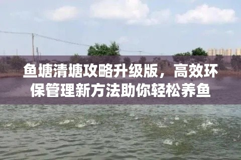 鱼塘清塘攻略升级版,高效环保管理新方法助你轻松养鱼