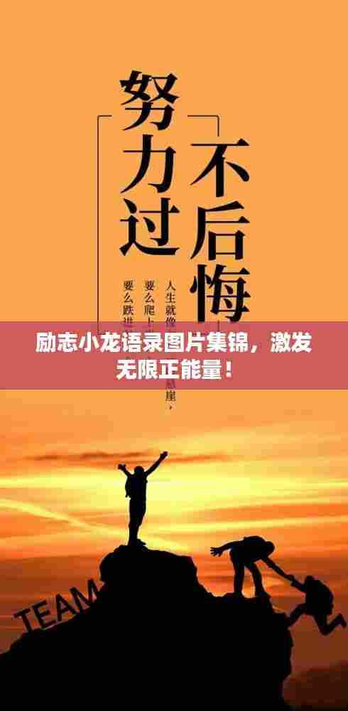 励志小龙语录图片集锦，激发无限正能量！