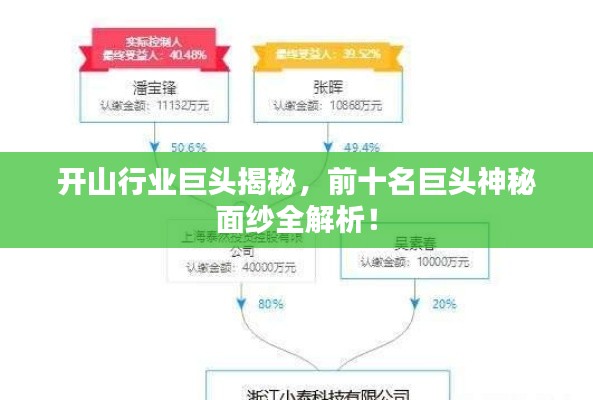 开山行业巨头揭秘，前十名巨头神秘面纱全解析！