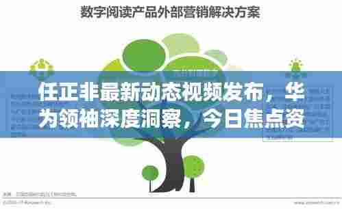 任正非最新动态视频发布，华为领袖深度洞察，今日焦点资讯