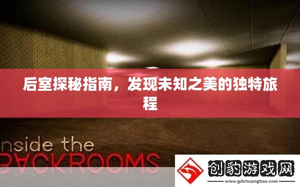 后室探秘指南，发现未知之美的独特旅程