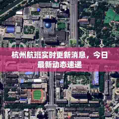 杭州航班实时更新消息，今日最新动态速递