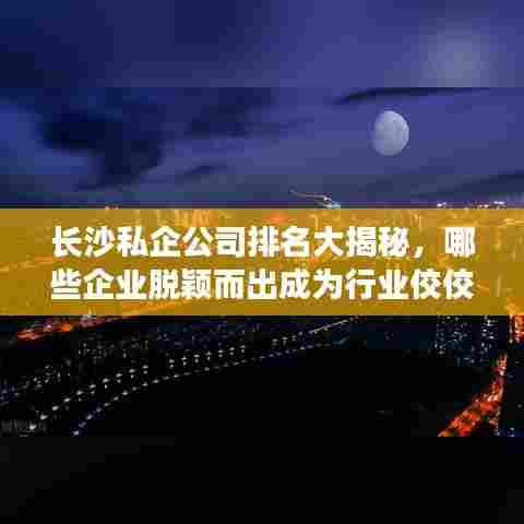 长沙私企公司排名大揭秘，哪些企业脱颖而出成为行业佼佼者？