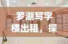 罗湖写字楼出租，探寻理想办公空间的新路径