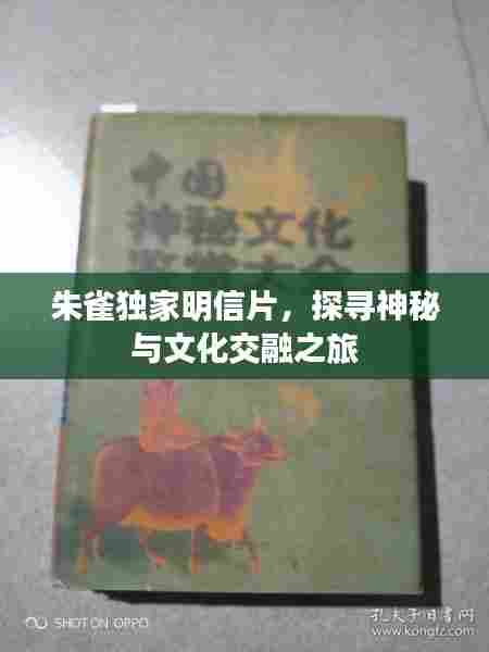 朱雀独家明信片,探寻神秘与文化交融之旅