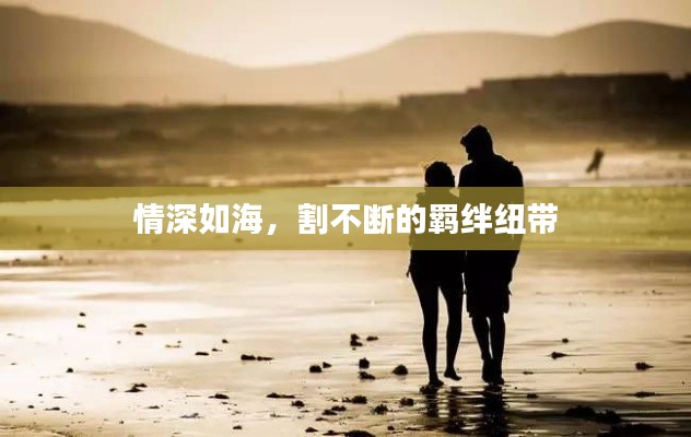 情深如海,割不断的羁绊纽带
