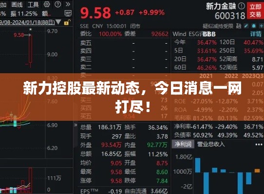新力控股最新动态,今日消息一网打尽!