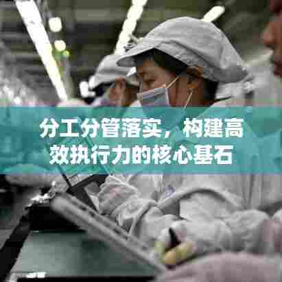 分工分管落实,构建高效执行力的核心基石