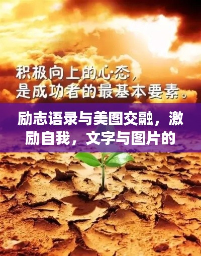 励志语录与美图交融,激励自我,文字与图片的碰撞产生力量