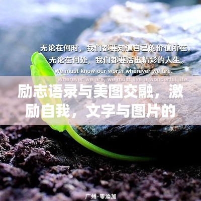 励志语录与美图交融,激励自我,文字与图片的碰撞产生力量