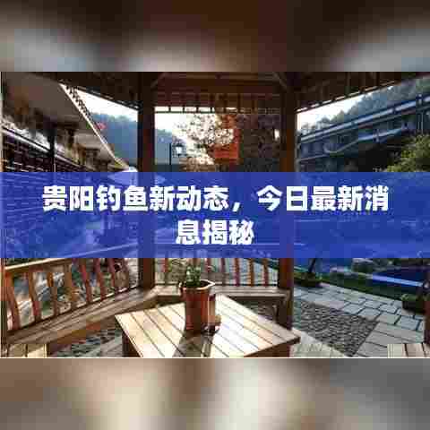 贵阳钓鱼新动态,今日最新消息揭秘