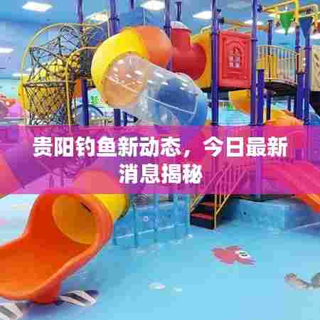 贵阳钓鱼新动态,今日最新消息揭秘